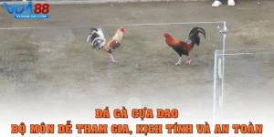 da ga cua dao thumb