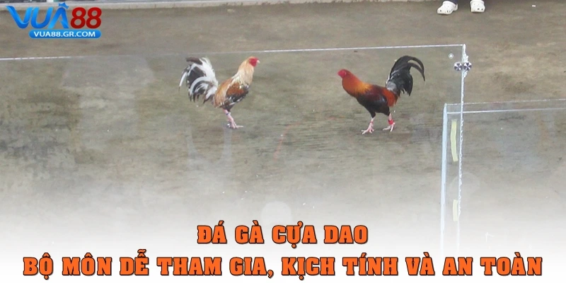 da ga cua dao thumb